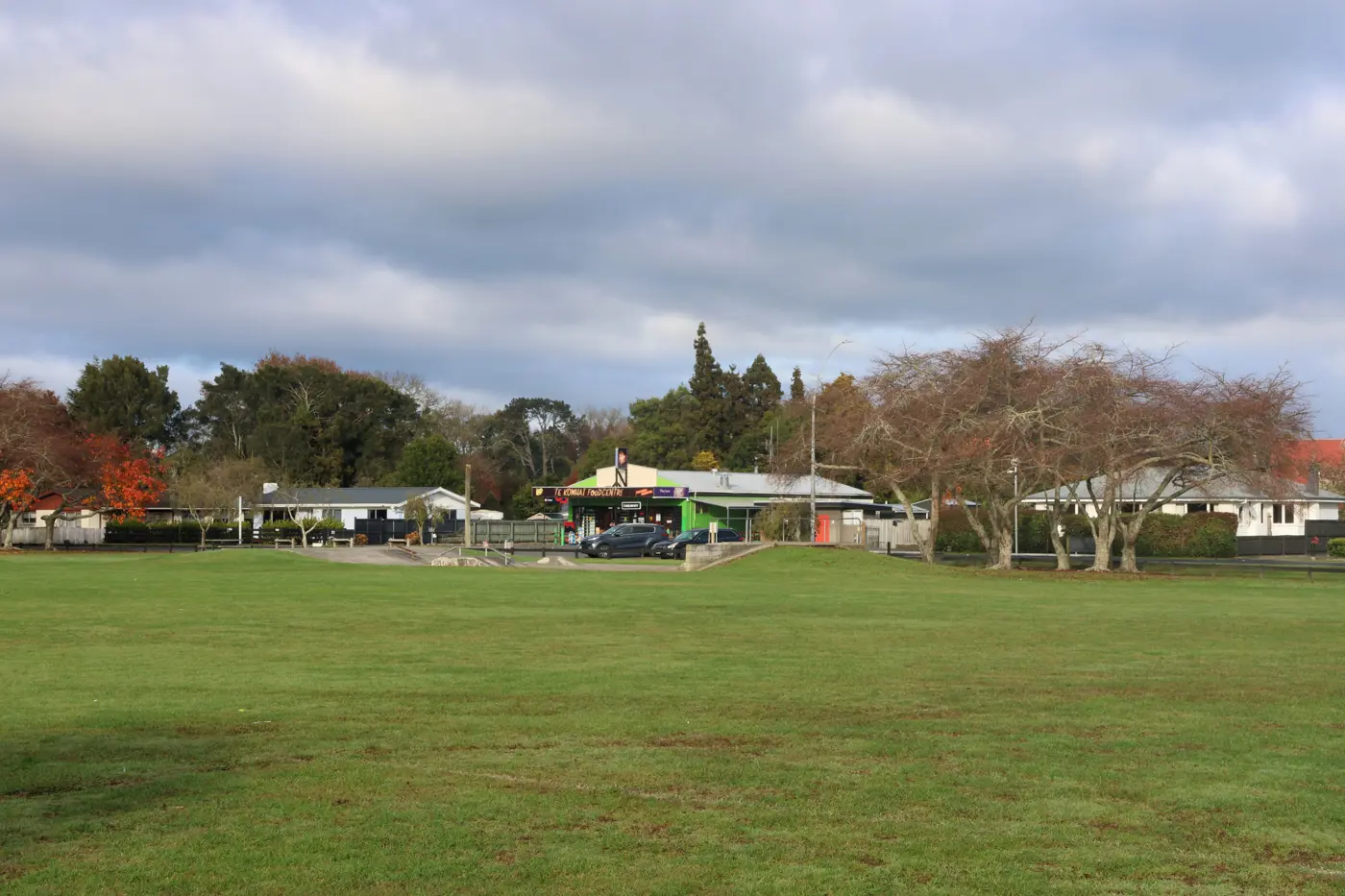 a green field with trees and buildings in the background