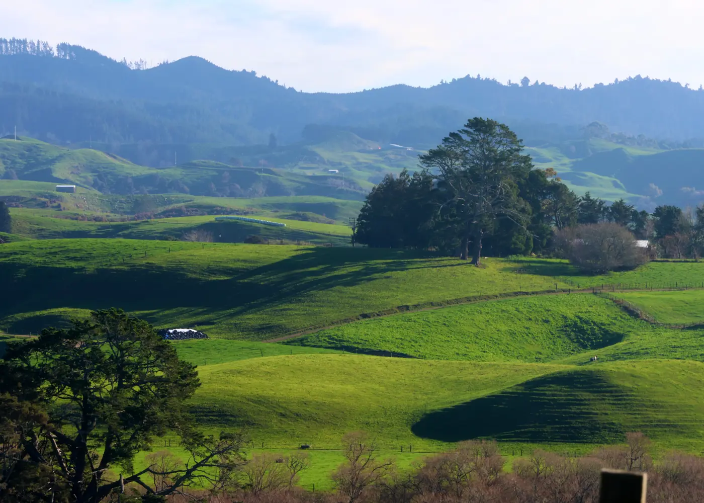 a green rolling hills with trees and mountains in the background