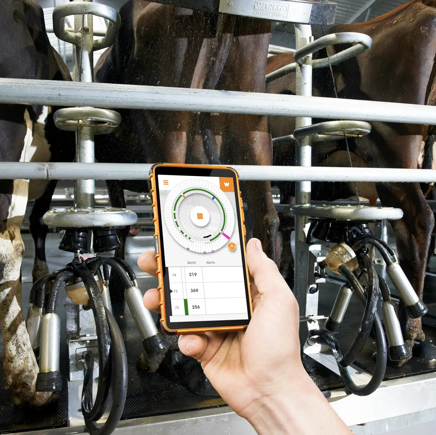 a hand holding a phone with a device on it