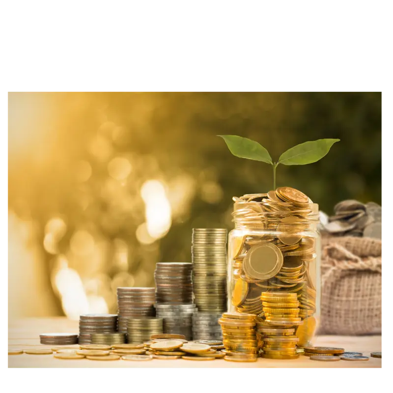 a jar of coins with a plant growing from it