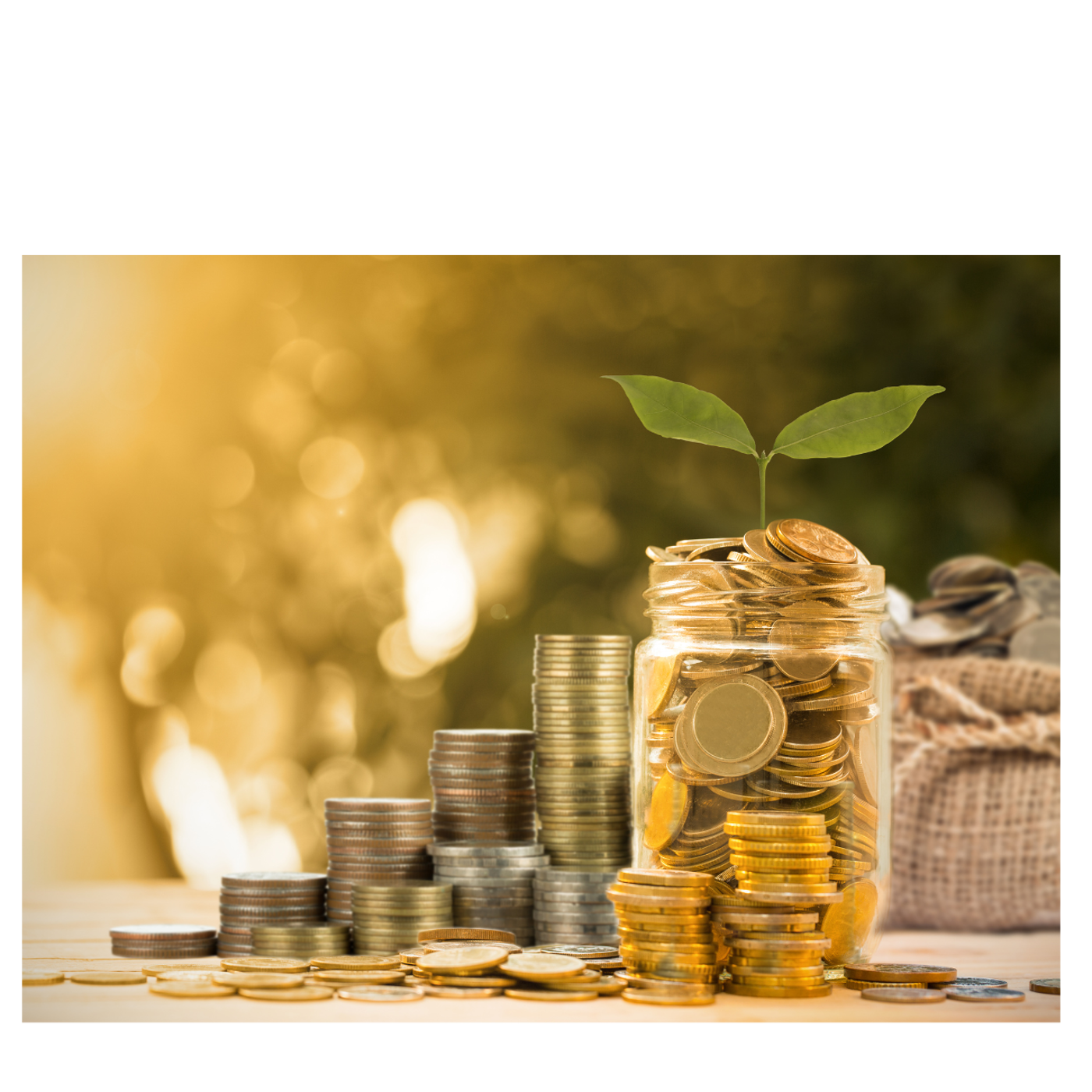 a jar of coins with a plant growing from it