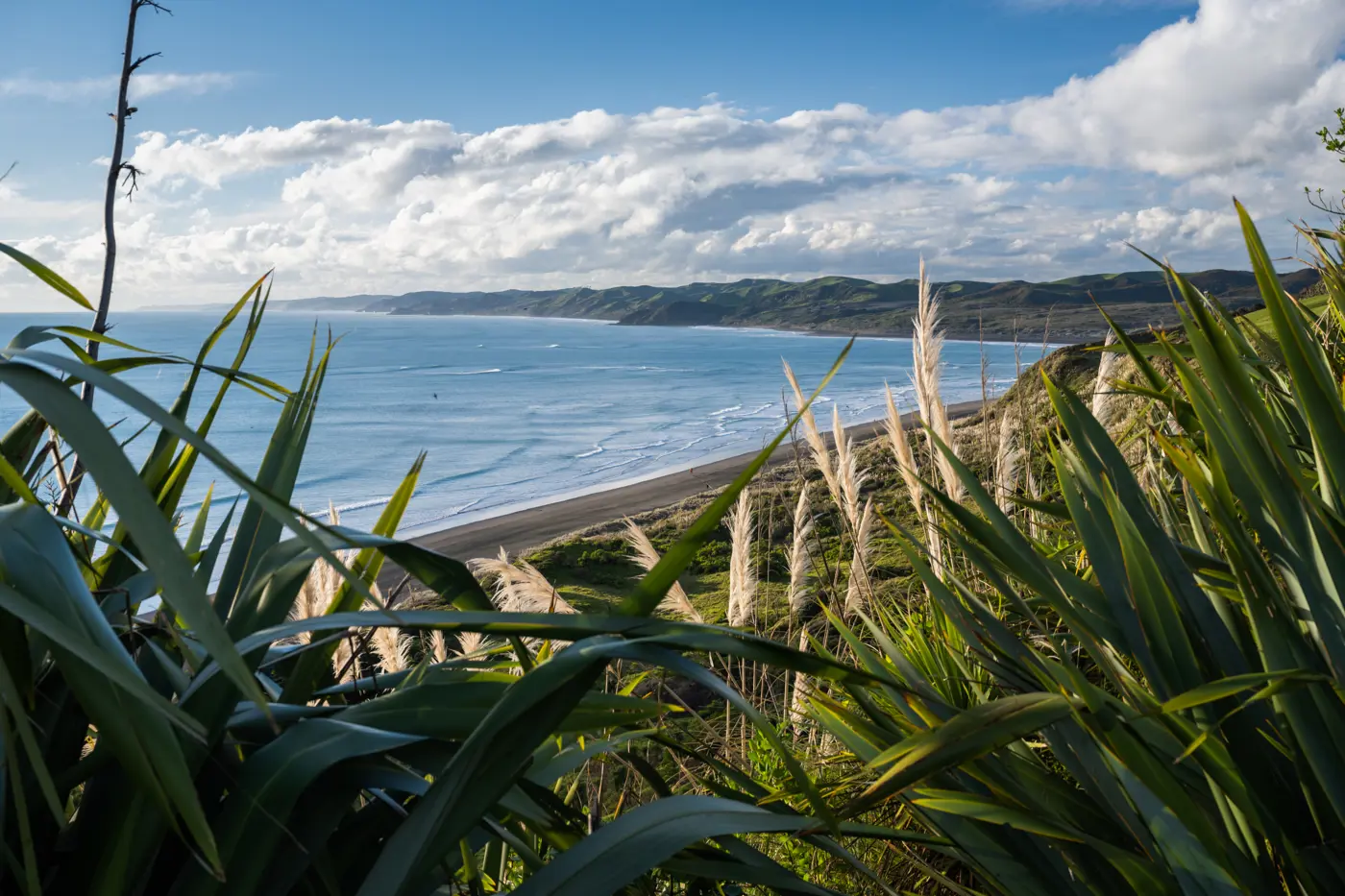 a beach with grass and water